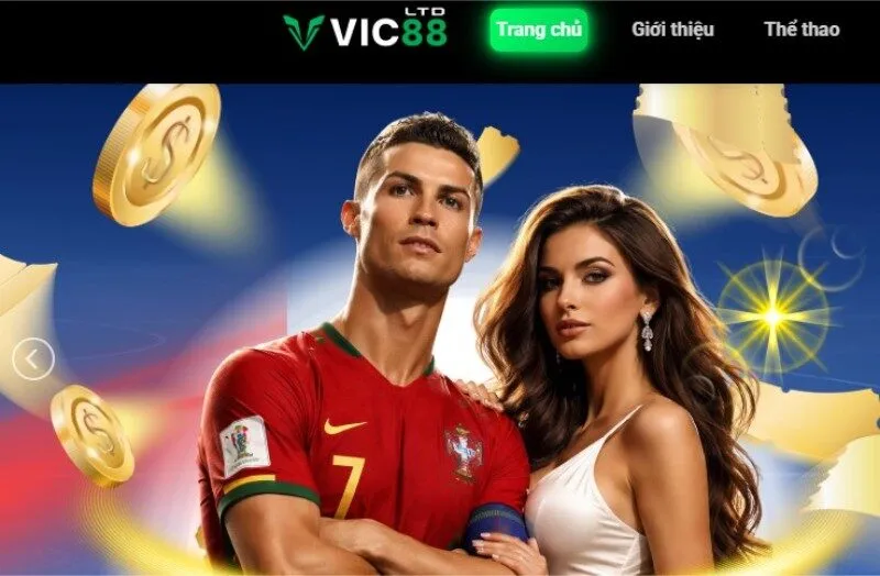 Giới thiệu Vic88 Ltd