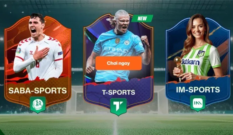 T Sport