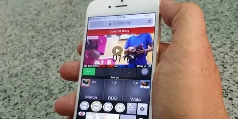 Tất cả các trận đấu đều được phát với video HD